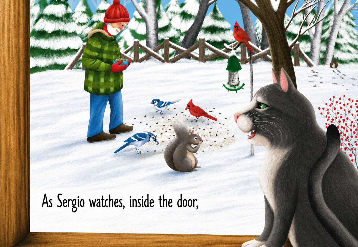 Sergio's Window Tales